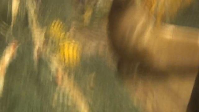 Сивуч в трале)))хам*