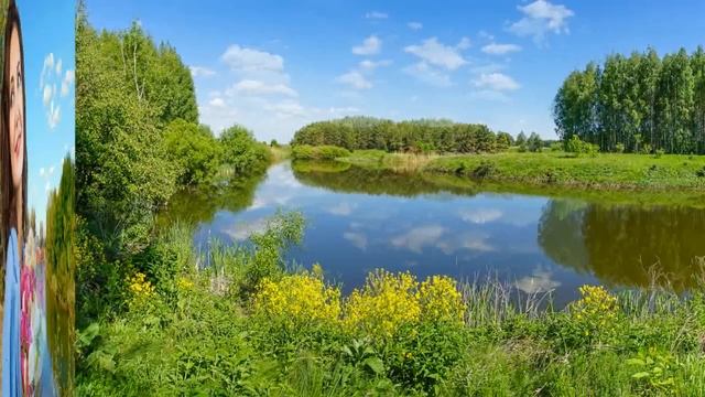 СИЛЬНАЯ СЛАБАЯ ЖЕНЩИНА (сл. Мирославы Бойко, муз. Ю. Старцева, видео Анфисы Сербиной) смотреть онлайн