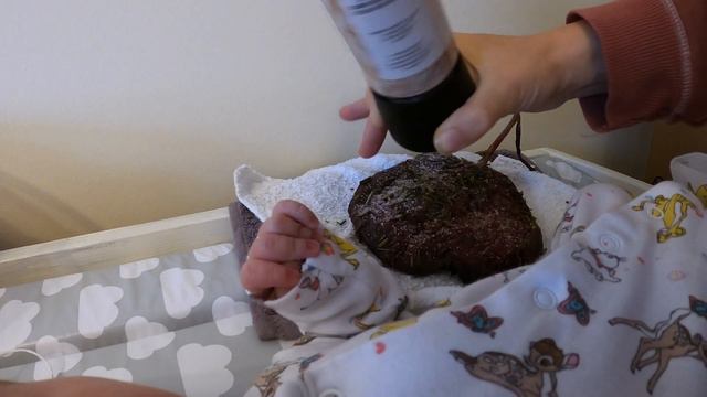 Lotus Birth Step By Step #birth