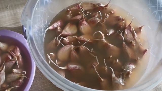 Сажаю чеснок в Сургуте(ХМАО-Югра). Что добавляю в лунки. Сильные ночные заморозки. Колеусы замерзли смотреть онлайн