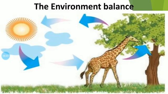 The balanced Environment смотреть онлайн