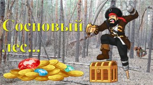 Сосновый лес - лучшее место для копа с металлоискателем летом!!