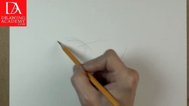 How to Draw a Bird presented by Drawing Academy .com 39-1 смотреть онлайн