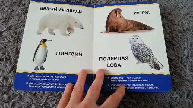 КНИЖКА КАРТОННАЯ «ЖИВОТНЫЕ ЗООПАРКА», 10 СТРАНИЦ ВМЕСТЕ С ОБЛОЖКОЙ смотреть онлайн