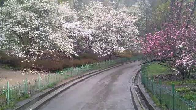 весенний вальс смотреть онлайн