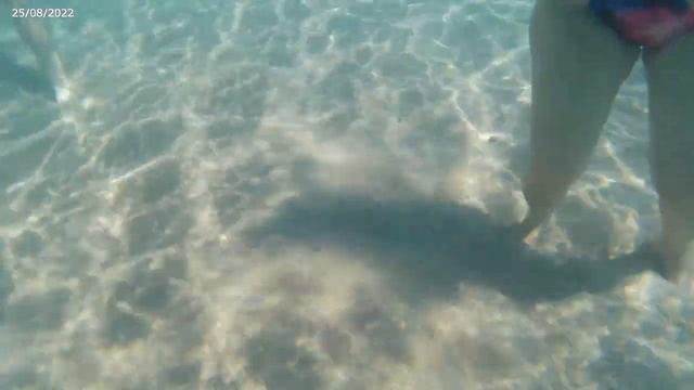 Влог Отдыхаем на море Нашествие медуз Испания2022 смотреть онлайн