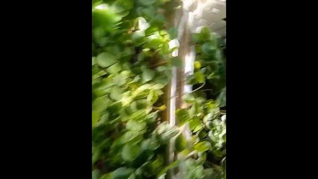 Отзыв клиента из Самары смотреть онлайн