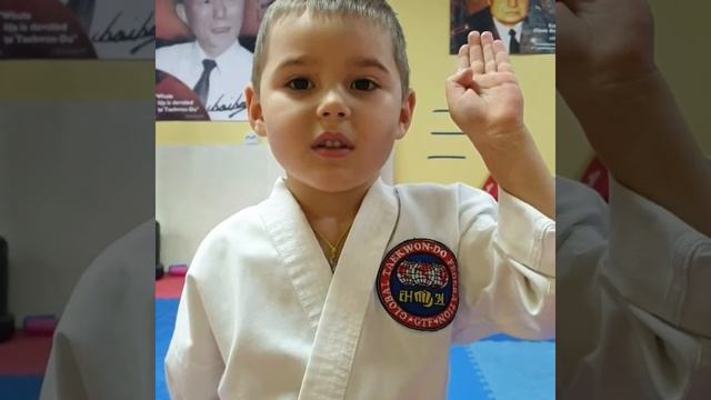 Клятва тхэквондиста от Богдана 4 года смотреть онлайн