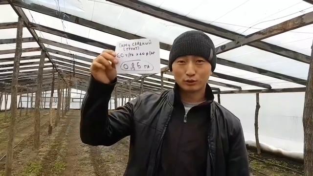 Один миллион рублей в овощах. Какую площадь посадить, чтоб получить 1 млн. Рублей смотреть онлайн