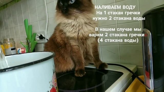 КАК ПРАВИЛЬНО ВАРИТЬ ГРЕЧКУ? | ?Готовим с Марусей #3? смотреть онлайн