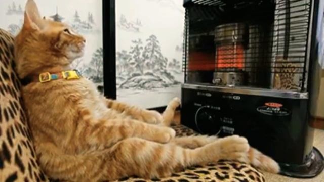 У камина смотреть онлайн