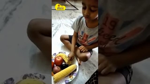 Funny Fine Motor | Groovy Gross Motor | Artistic Creativity Activities | Sunshine DLP смотреть онлайн