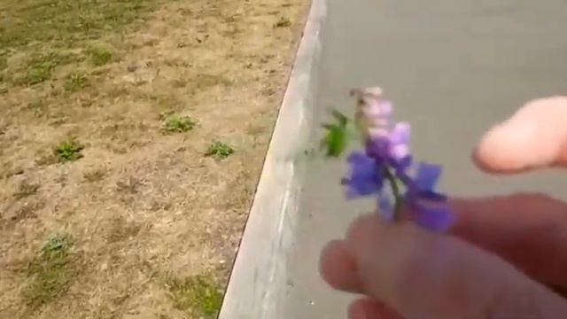 Нижний Тагил парк" Народный" . Пред последний день,гуляем! смотреть онлайн