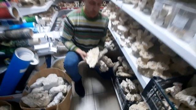 Биокерамика от производителя. Краснодар. смотреть онлайн