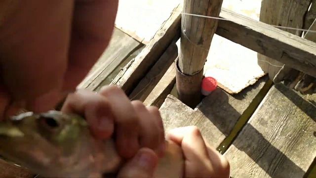 РЫБАЛКА В БУНКЕРЕ,БЕШЕННЫЙ КЛЁВ СЕЛЕДКИ. ЛОВЛЯ СЕЛЕДКИ В АСТРАХАНИ смотреть онлайн