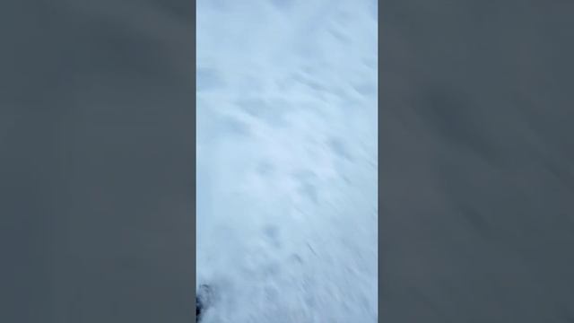 гетто в США смотреть онлайн