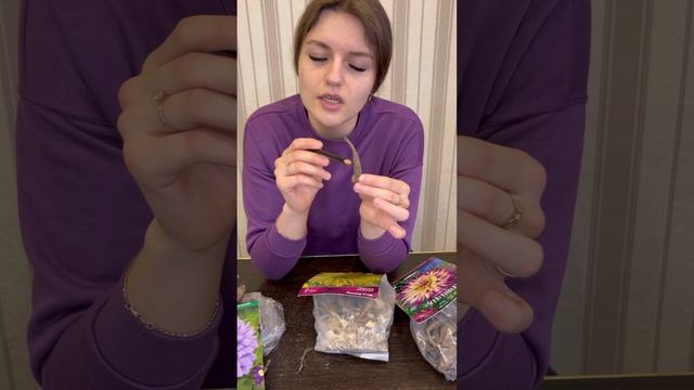 Какие ГЕОРГИНЫ выбрать ? смотреть онлайн
