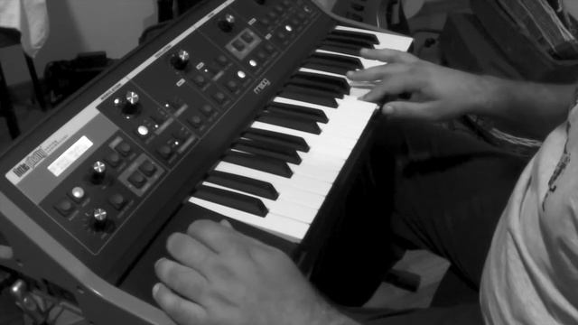 Sunday Afternoon Funk Moog Impro смотреть онлайн