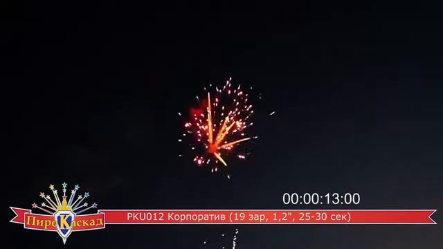 PKU012 Корпоратив 2014 смотреть онлайн