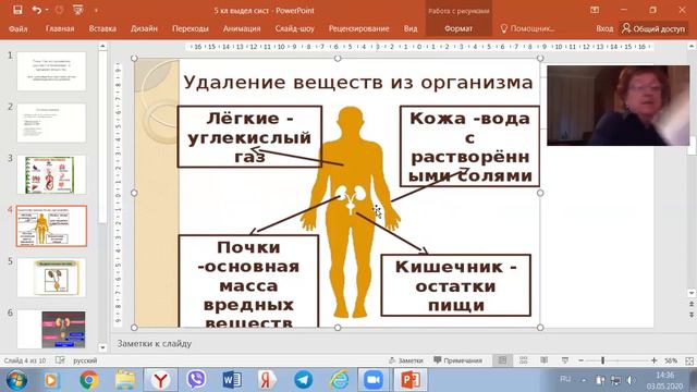 Как из организма удаляются ненужные вещества смотреть онлайн