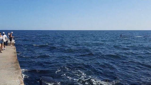 Одесса, море, 23 сентября 2023 смотреть онлайн
