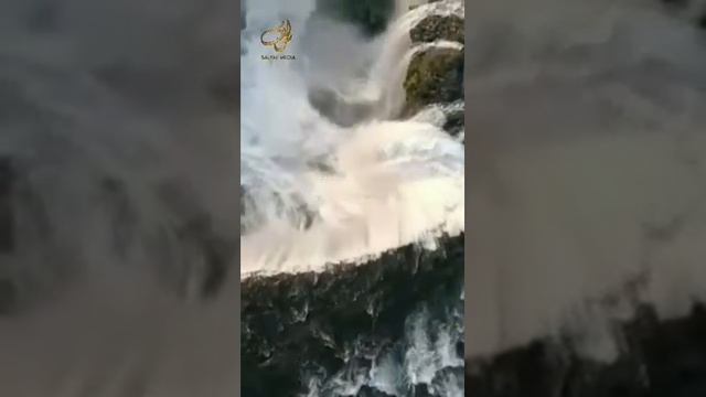 Шейх Мишари Рашид сура-68 Аль-Калям (Письменная трость) #kuran#zakirnaik #kuran#sunnah#коран