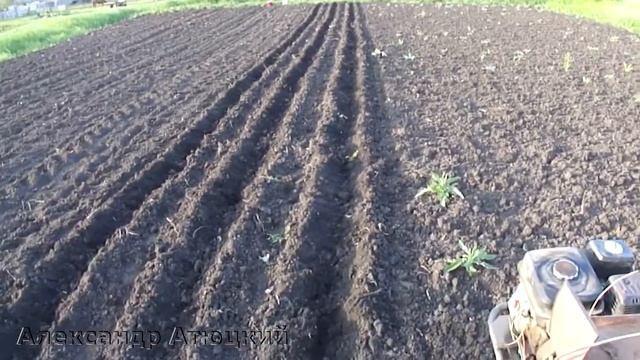 ПОСАДКА КУКУРУЗЫ смотреть онлайн