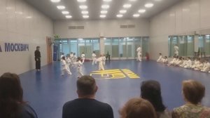 Ката на белый пояс Сито-рю