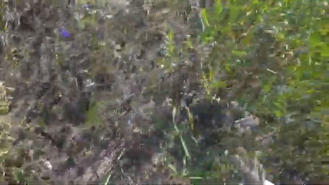 ТРУТНЕВАЯ СЕМЬЯ, МЕТОД БРАТЬЕВ ЧЕБУЗДЕНЫХ.УБОРКА ФАЦЕЛИИ ВРУЧНУЮ.ПАСЕКА 2021. ЧАСТЬ ПЕРВАЯ смотреть онлайн