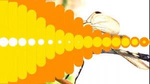 Насекомые для малышей 🐞 Учим насекомых 🕷 Насекомые мультик 🐜 Насекомые развивающие мультики