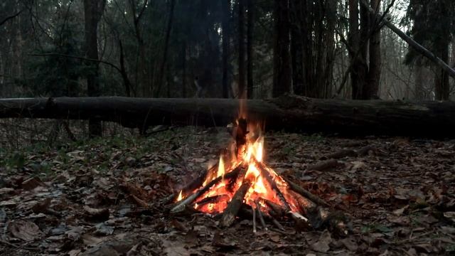 О сайтах знакомств и 