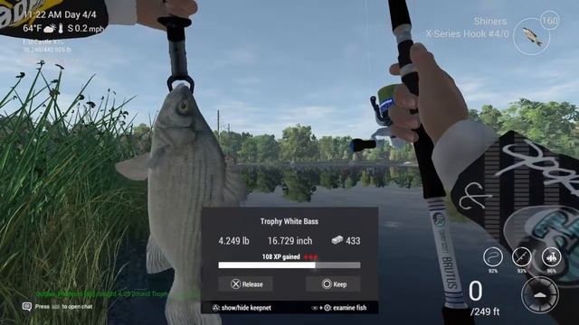Trophy and Unique White Bass St.Croix Michigan Fishing Planet смотреть онлайн