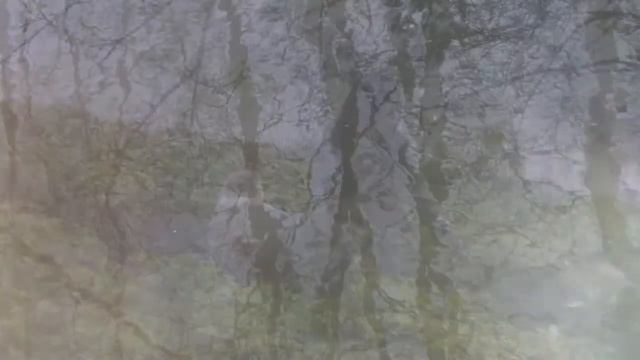 03#04!-17-luna (dito looper x3, zoom G3 on, audacity) смотреть онлайн