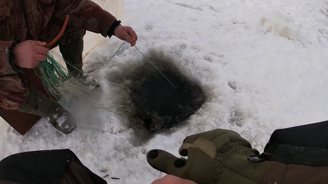 Проверка сетей зимой! Рыба зашевелилась. смотреть онлайн