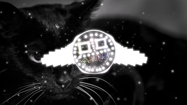 Браво - Чёрный кот (Phonk Remix) смотреть онлайн