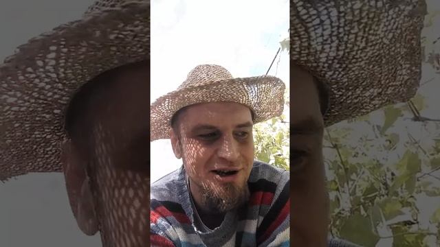 Маленький зелёный перчик! смотреть онлайн