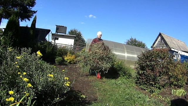 Ох уж эти помидоры