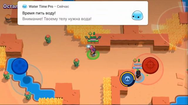 Brawl stars смешные и крутые моменты с кроу , тара , диномайк смотреть онлайн