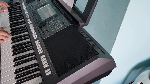 Die Flippers Monja - Yamaha PSR S770 #Yamaha #Tyros #biesiada смотреть онлайн