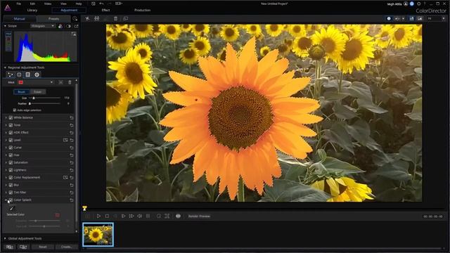 ? How To Create COLOR SPLASH Effect | ColorDirector 10(365) Tutorial смотреть онлайн