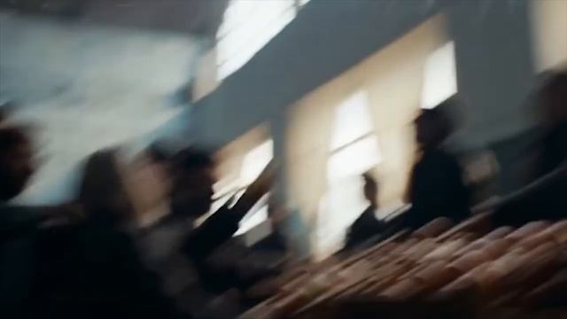 Что будет, если животные начнут разговаривать? смотреть онлайн