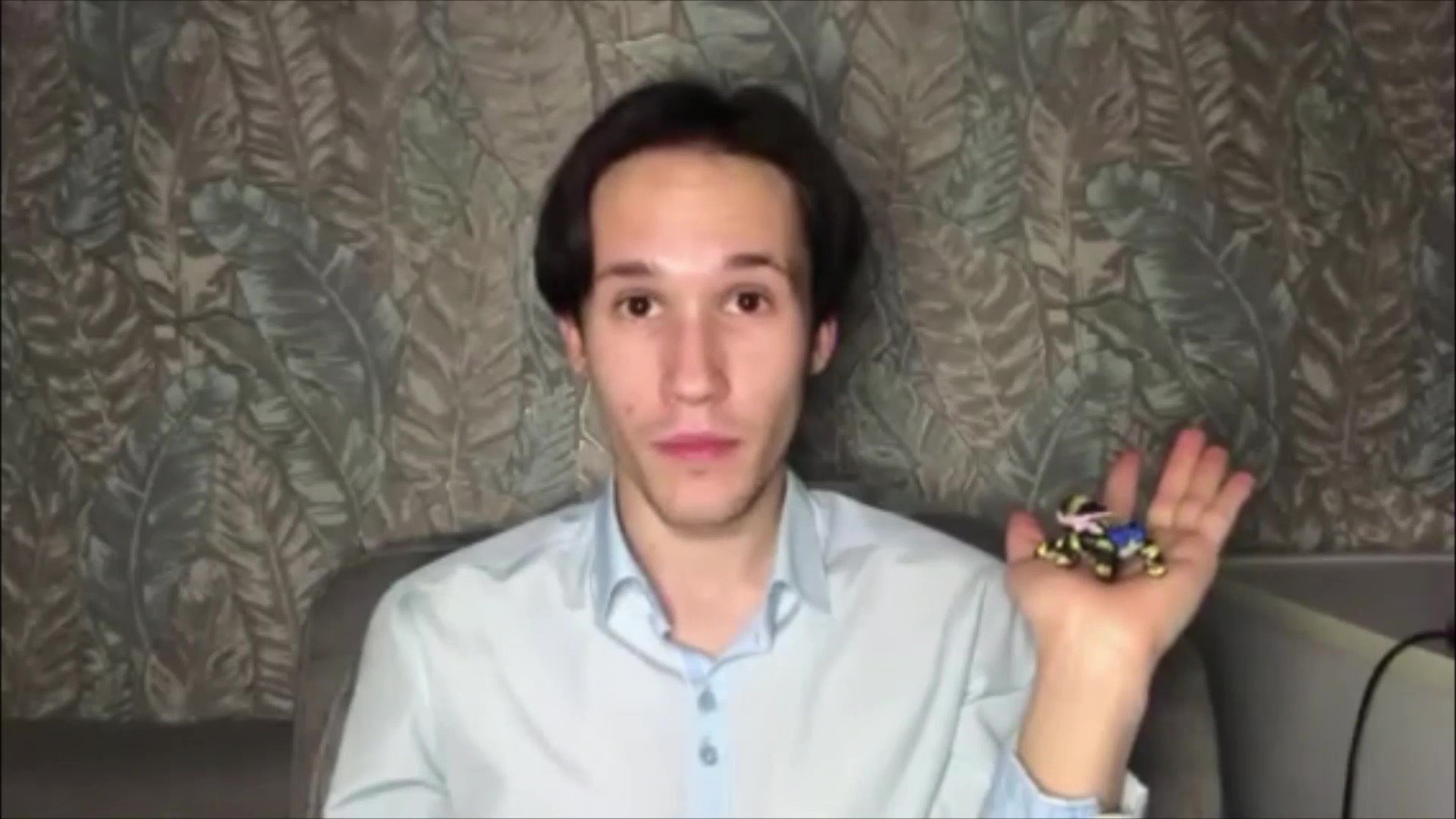 За творческим процессом. Паук эфебопус.mp4 смотреть онлайн