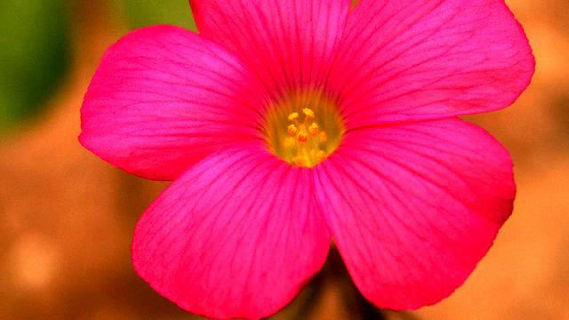 Топ самых лучших песен про любовь - онлайн смотреть