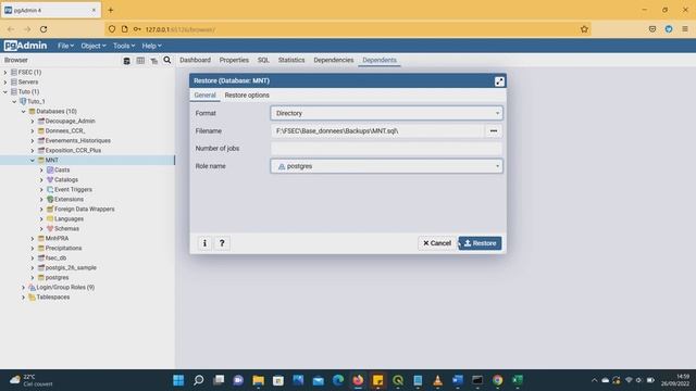 Postgresql : Backup and restore a database without using CMD смотреть онлайн