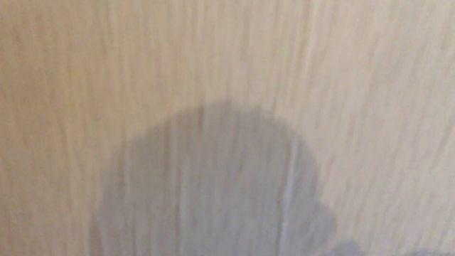 Если вам попались не качественные обои смотреть онлайн