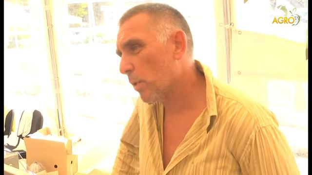 Агротема: Стабилни цени на кравето мляко, овчето надолу, автор Мирела Спасова смотреть онлайн
