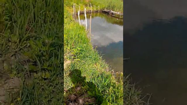 Пруд своими руками 3 смотреть онлайн