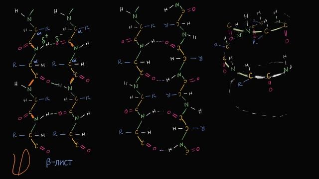 Обзор структуры белка (видео 10) | Макромолекулы | Биология смотреть онлайн