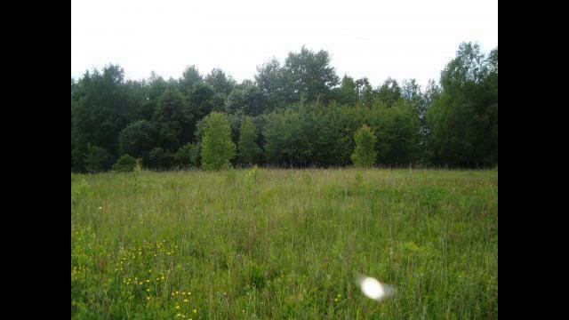 13 гектар кфх в Василево, Переславский район смотреть онлайн