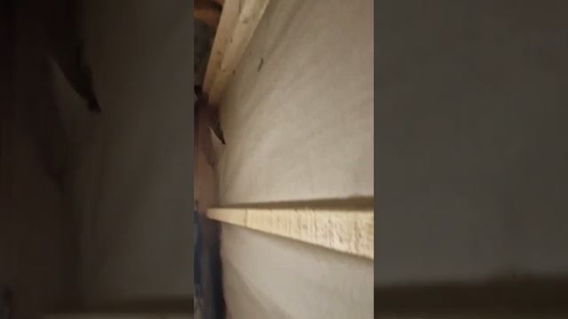 Ошибки утепления кровли.           #кровля #строительство #архитектура